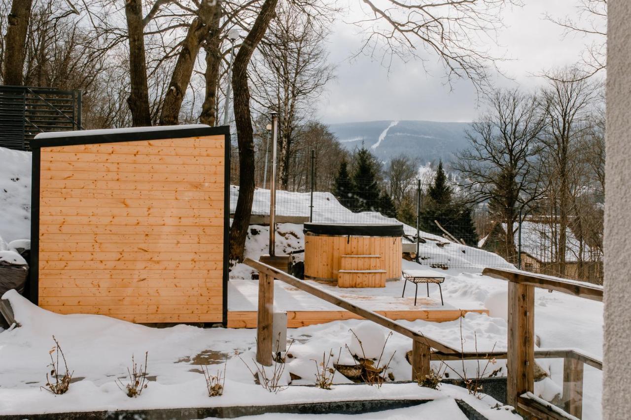 Apartamenty Larice - Podgrzewany Basen, Balia I Sauna Сверадув-Здруй Экстерьер фото